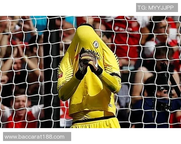 国际足联新规广告牌距离边线需保持1米以降低比赛风险