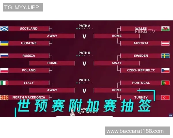 加图索强调意大利必须全力争取世预赛附加赛资格的决心与信念 加图索强调意大利必须全力争取世预赛附加赛资格的决心与信念